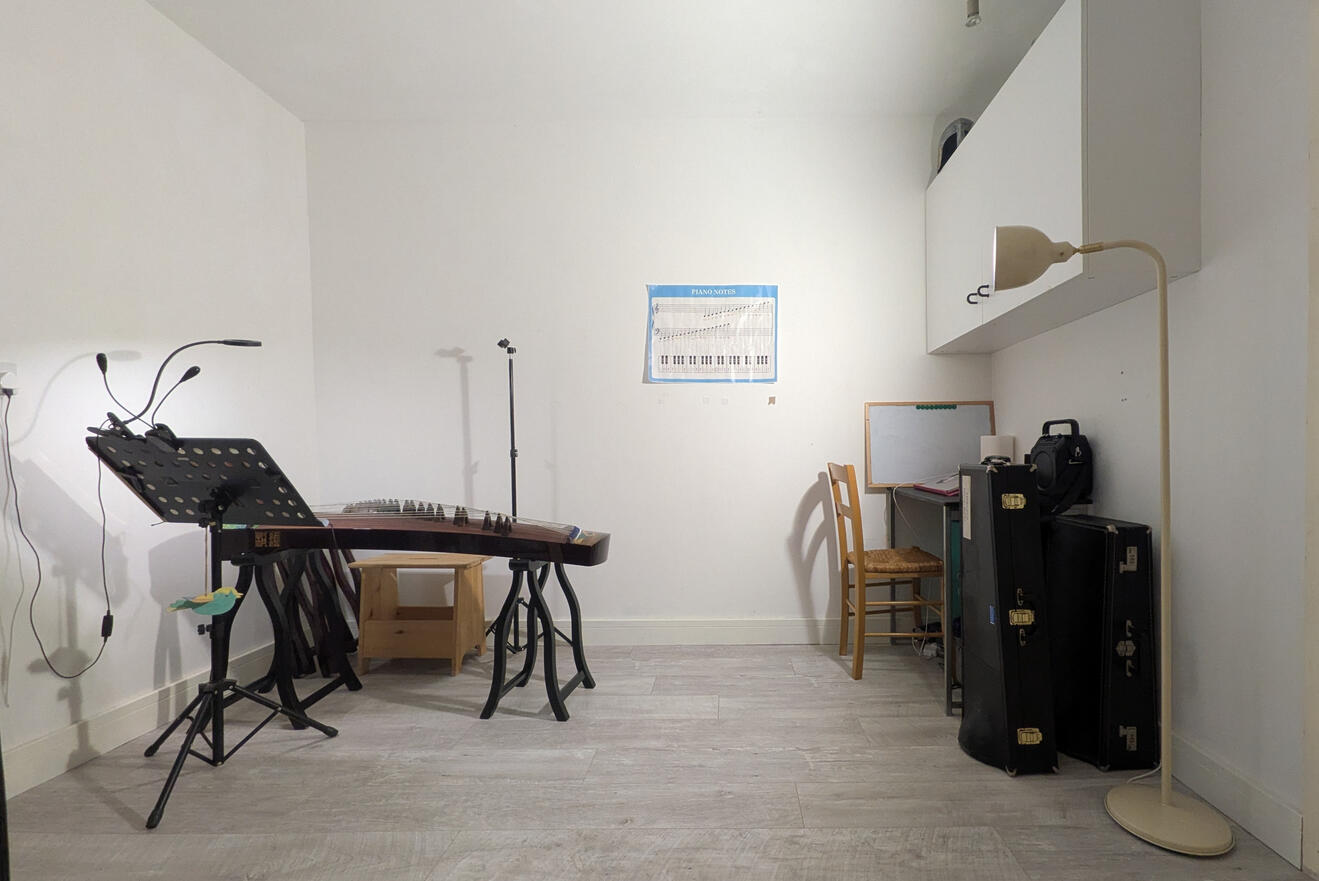 Jane Wang - Professional Guzheng Teacher in Winchester